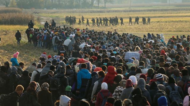 slovenie-migrants-5450131-e1454794070842.jpg