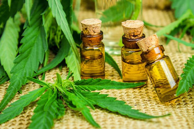 CBD-Oil-Market.jpg