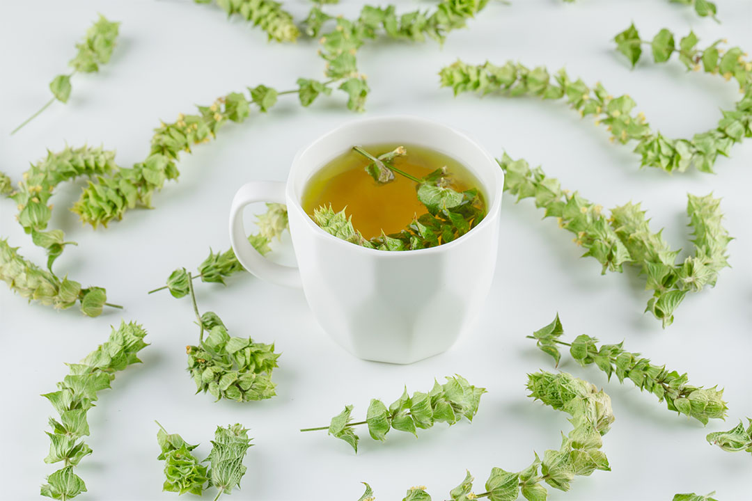 tisane-sideritis-dans-une-tasse.jpg