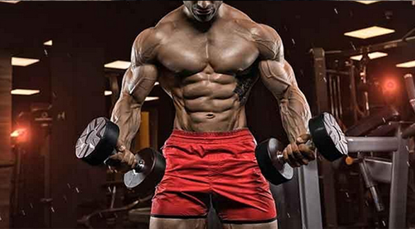 BODYBUILDING-600.jpg