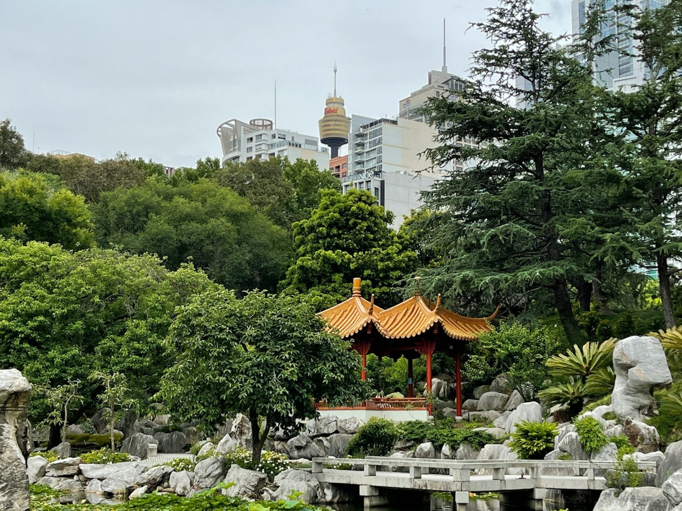Image8.jpg