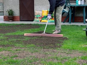Entretien extérieur : comment rendre son jardin prêt pour le printemps ?
