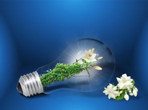 Électricité et transition énergétique : quelles solutions pour les particuliers ?