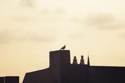 Image14.jpg