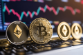 crypto-x1000-1.png